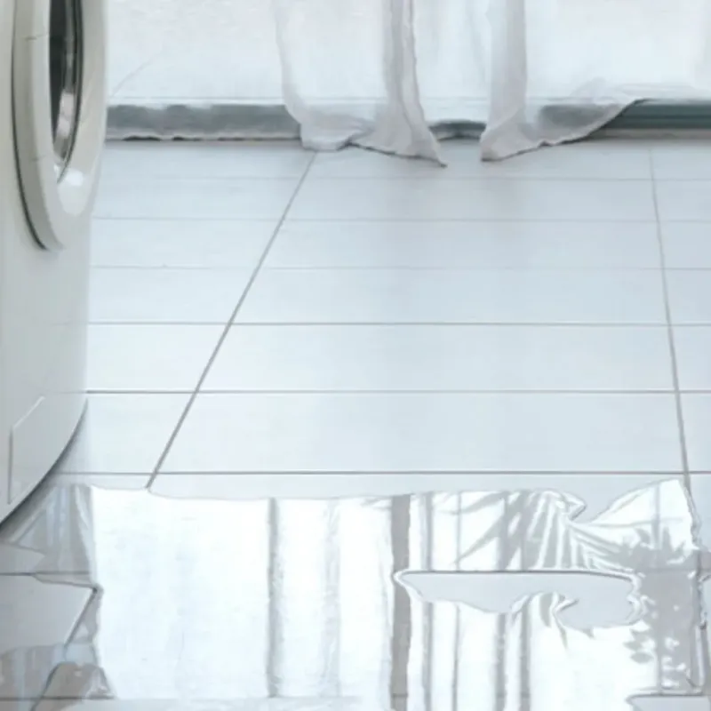 Appliance Leak Cleanup in Willows, CA