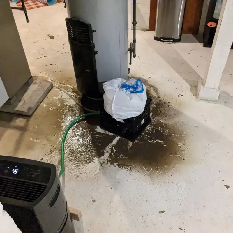 Sewage Backup Cleanup Service in Willows, CA